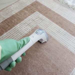 Limpieza de Alfombras a Domicilio